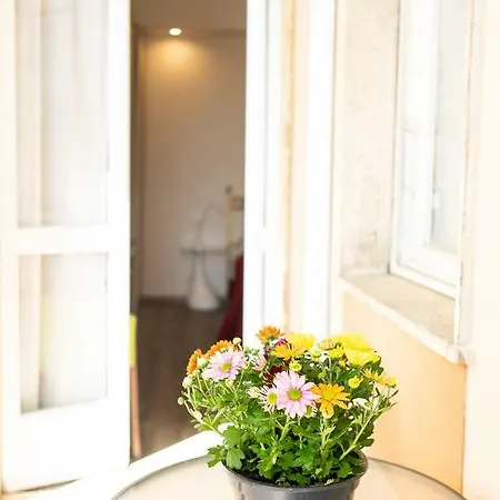 Palazzo Te Apartment *